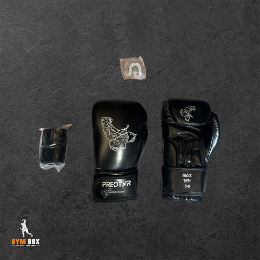3 in 1 boxing set