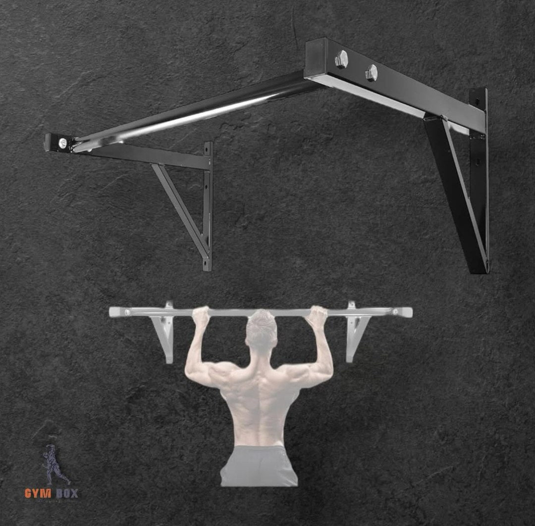 Pull Up Bar