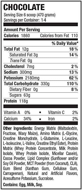 Russian Bear 10 000 /15 lbs