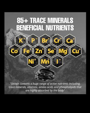 Biyode pure Himalayan Shilajit Resin 30 g